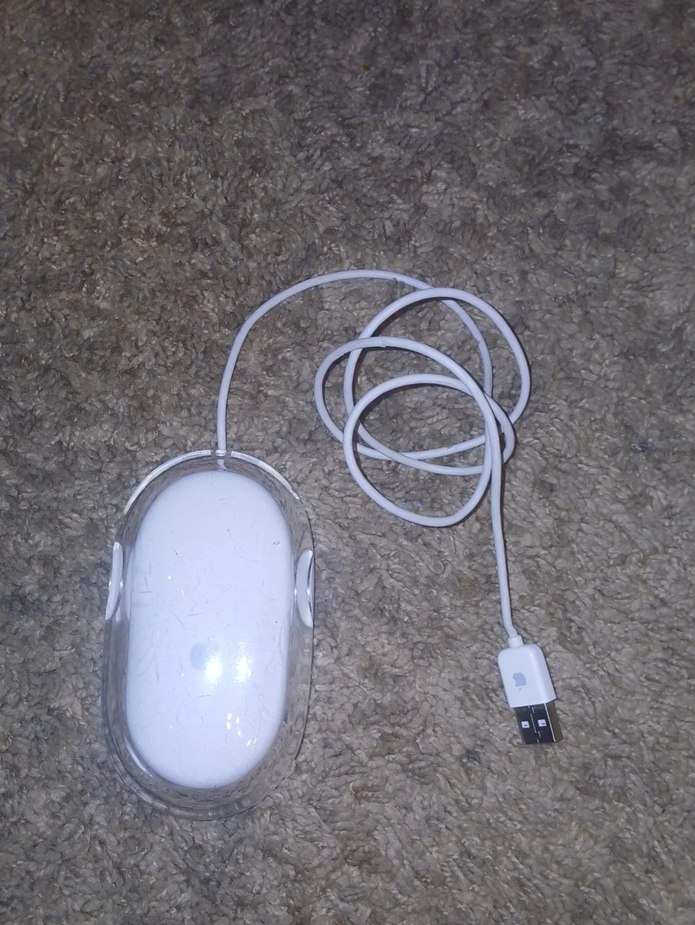 Apple Clear Shell White Wired USB Mouse